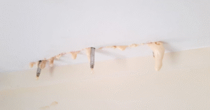 PU sealant application KL