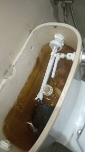 Plumbing Service